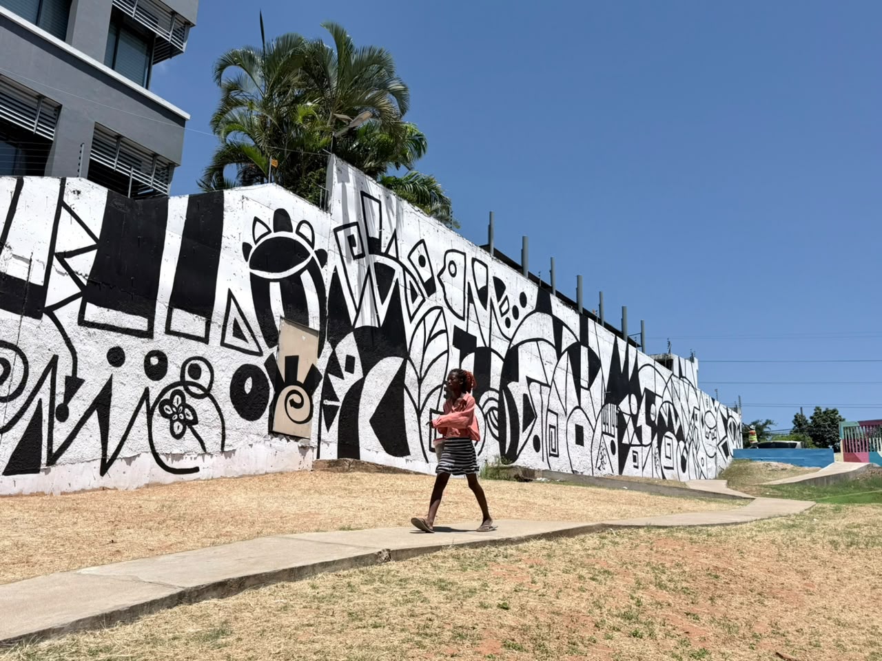 Bring Back Maputo — public artwork by Coana in Maputo, ongoing