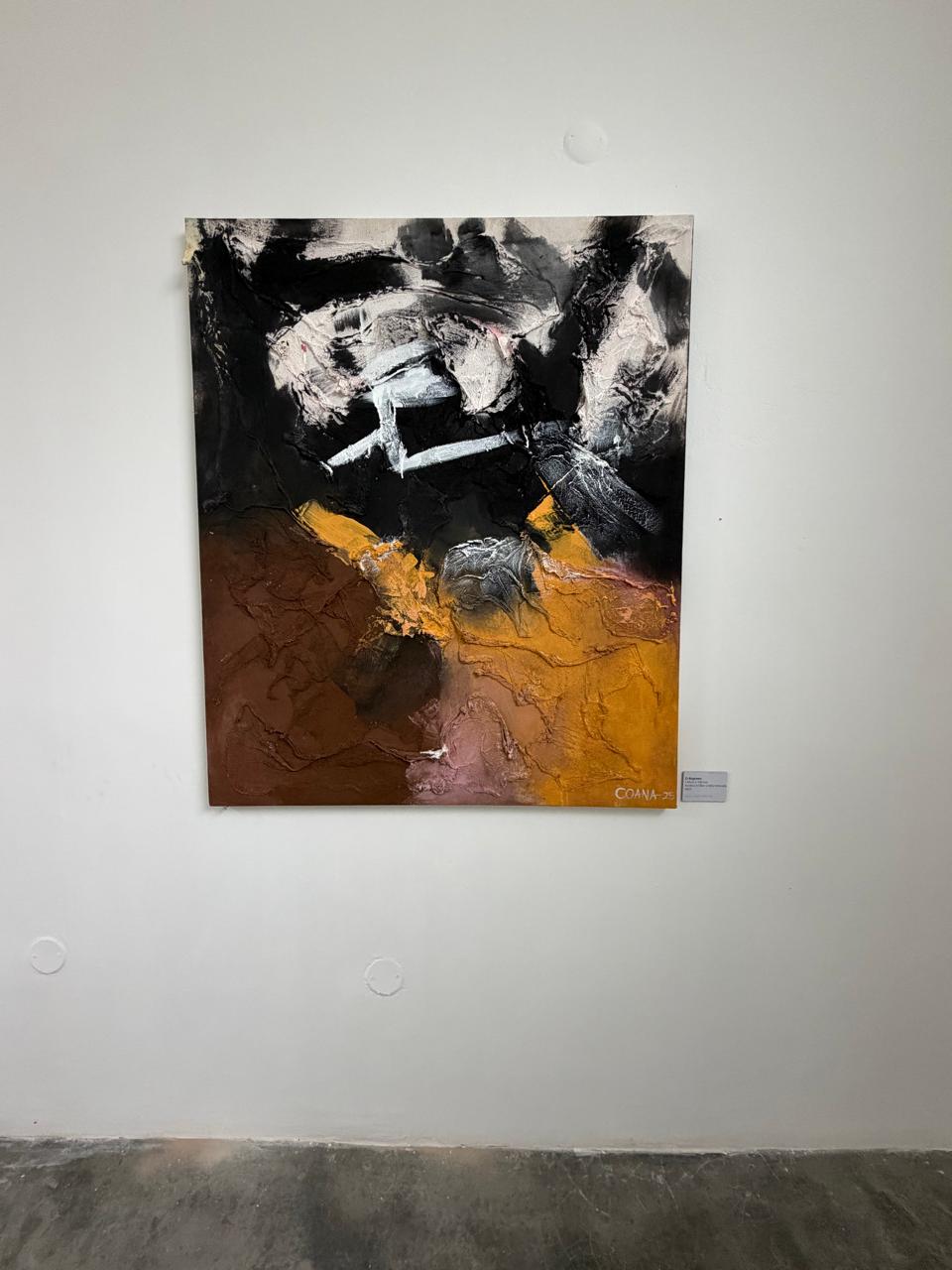 Terra Queimada — Mixed media on canvas by Coana, 2025